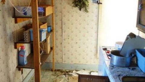 Toyless Sept '14 - DSC02123.jpg