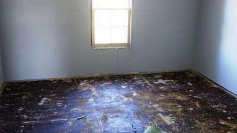 Toyless Sept '14 - DSC02131.jpg