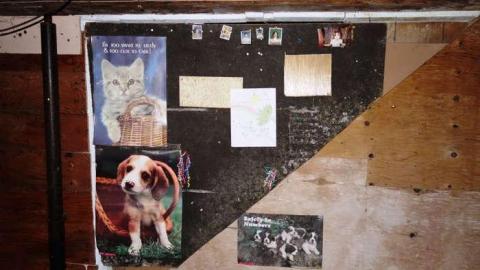 Toyless Sept '14 - DSC02147.jpg