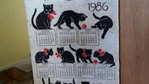 Toyless Sept '14 - DSC02163.jpg