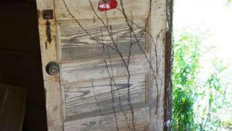 Toyless Sept '14 - DSC02178.jpg