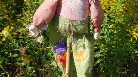 Photo from Toyless Sept '14