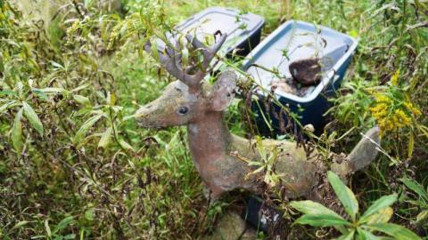 The Smoke House Mystery photo 4