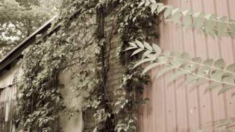 Massey Buildings - Greenwich-Village120.jpg