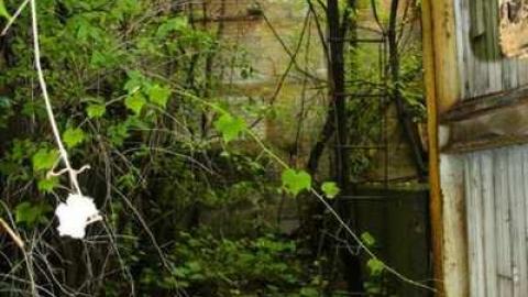 Photo from Massey Buildings