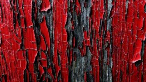 Sept2014 - Mustang-Drivein78.jpg