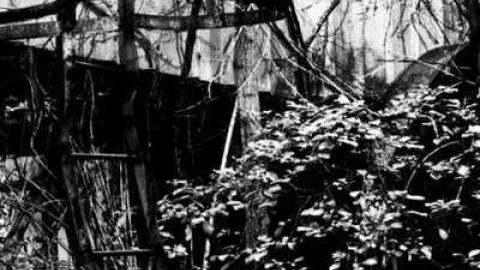 Massey Buildings - Greenwich-Village114.jpg