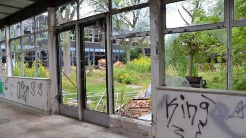 First Visit - August 2014 - Alderwood-Collegiate-Institute404.jpg