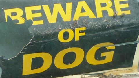 Anishinaabe - Indian-Healing-Program13.jpg