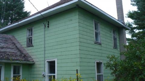 Green meany - P1180166.jpg