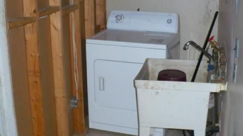 Green meany - P1180167.jpg