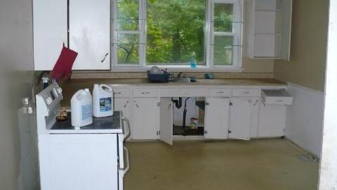 Green meany - P1180170.jpg