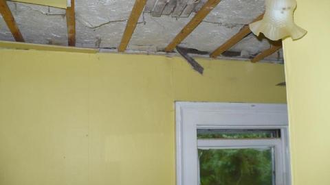 Green meany - P1180173.jpg