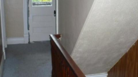 Green meany - P1180175.jpg