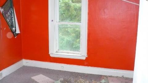 Green meany - P1180176.jpg