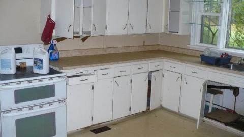 Green meany - P1180179.jpg