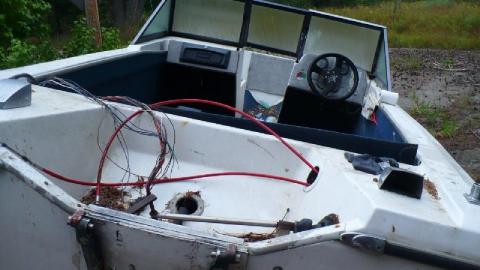 Photo from Green meany