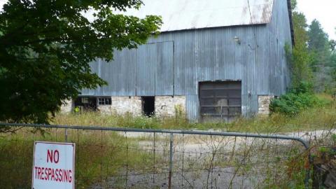 Photo from Green meany