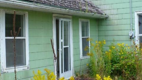 Photo from Green meany