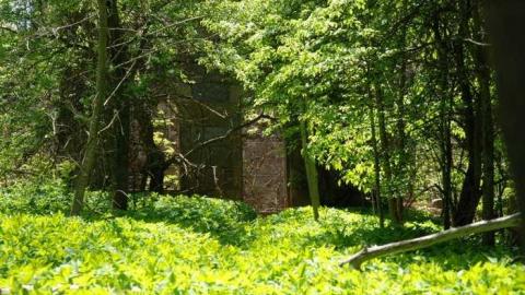 Photo from Lowville River Ruins