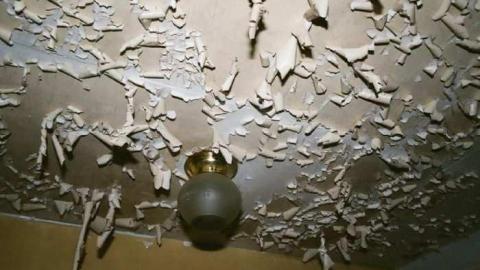 Photo from Interesting Find!!