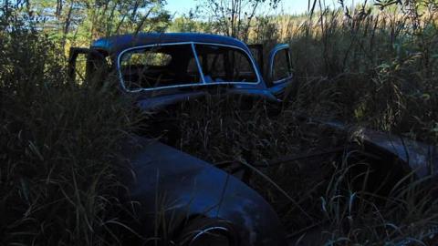 Swampside Pioneer Collapse - Swampside-Pioneer-Collapse1.jpg