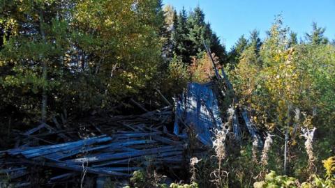 Swampside Pioneer Collapse - Swampside-Pioneer-Collapse9.jpg