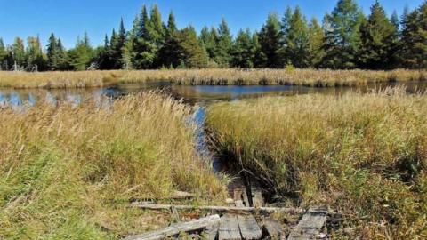 Swampside Pioneer Collapse - Swampside-Pioneer-Collapse10.jpg