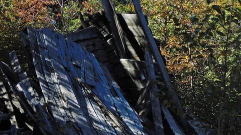 Swampside Pioneer Collapse - Swampside-Pioneer-Collapse11.jpg