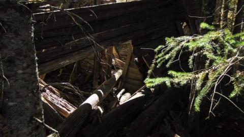 Swampside Pioneer Collapse - Swampside-Pioneer-Collapse12.jpg