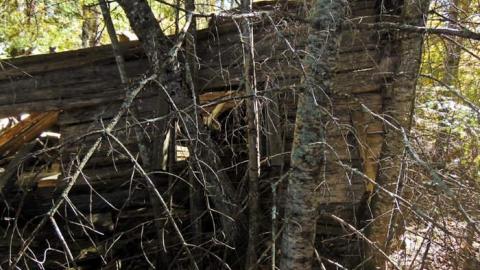 Swampside Pioneer Collapse - Swampside-Pioneer-Collapse5.jpg