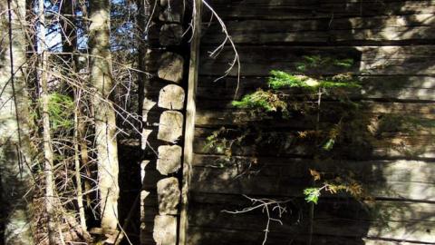 Swampside Pioneer Collapse - Swampside-Pioneer-Collapse13.jpg