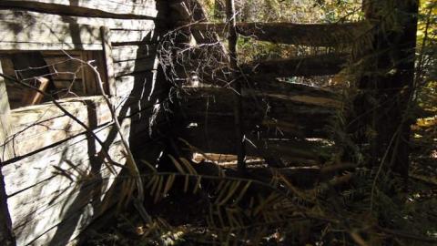 Swampside Pioneer Collapse - Swampside-Pioneer-Collapse6.jpg