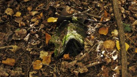 Swampside Pioneer Collapse - Swampside-Pioneer-Collapse14.jpg