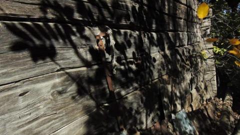 Swampside Pioneer Collapse - Swampside-Pioneer-Collapse15.jpg