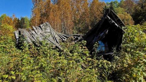 Dave's Not Here photo 5