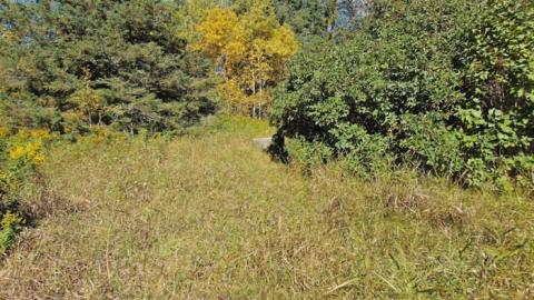 Dave's Not Here photo 2