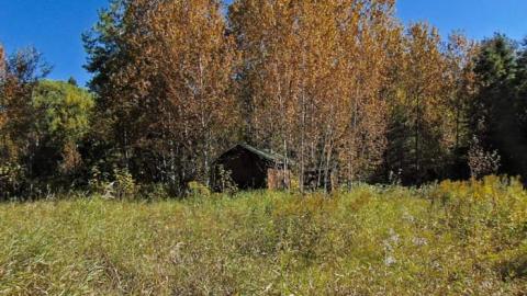 Dave's Not Here photo 4