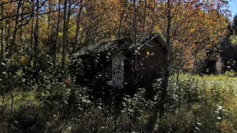 Dave's Not Here - Daves-Not-Here3.jpg