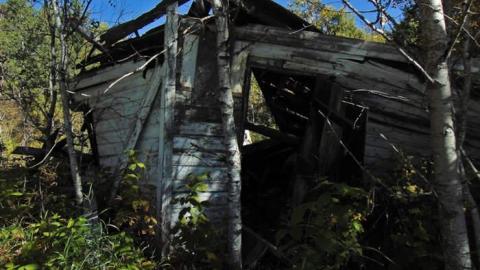 Dave's Not Here photo 3