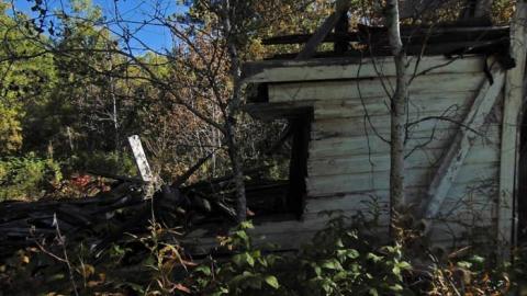 Dave's Not Here - Daves-Not-Here4.jpg