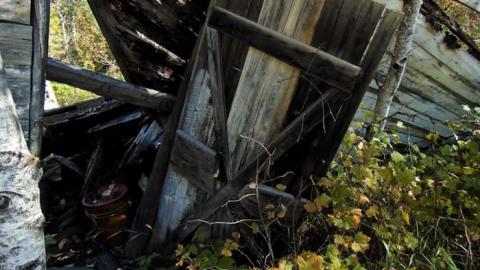 Dave's Not Here - Daves-Not-Here9.jpg