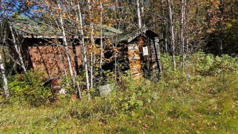 Dave's Not Here - Daves-Not-Here11.jpg