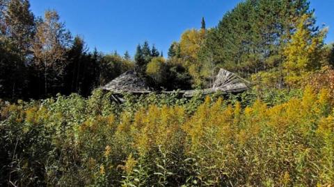 Dave's Not Here - Daves-Not-Here12.jpg