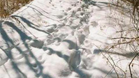 Interesting Find!! - David-Whaley-House42.jpg