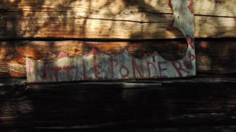 Photo from Little Ponderosa