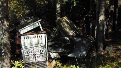 Little Ponderosa - Little-Ponderosa6.jpg