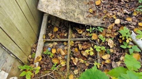 Conmee Stove Abandonment photo 2