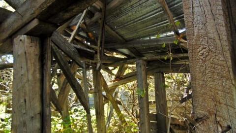 Conmee Pioneer Collapse - Conmee-Pioneer-Collapse7.jpg