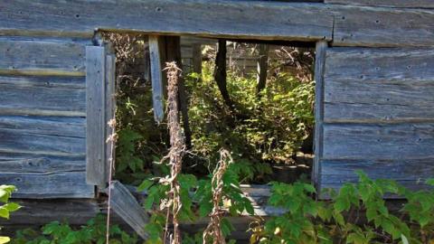 Conmee Pioneer Collapse - Conmee-Pioneer-Collapse10.jpg